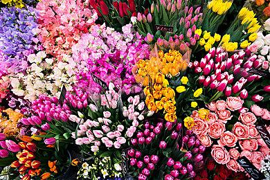 马斯克称OpenAI未达到他的预期：闭源且逐利 由微软实际掌控